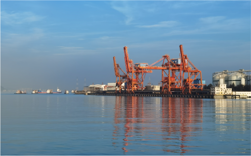 CA88口效劳有限公司